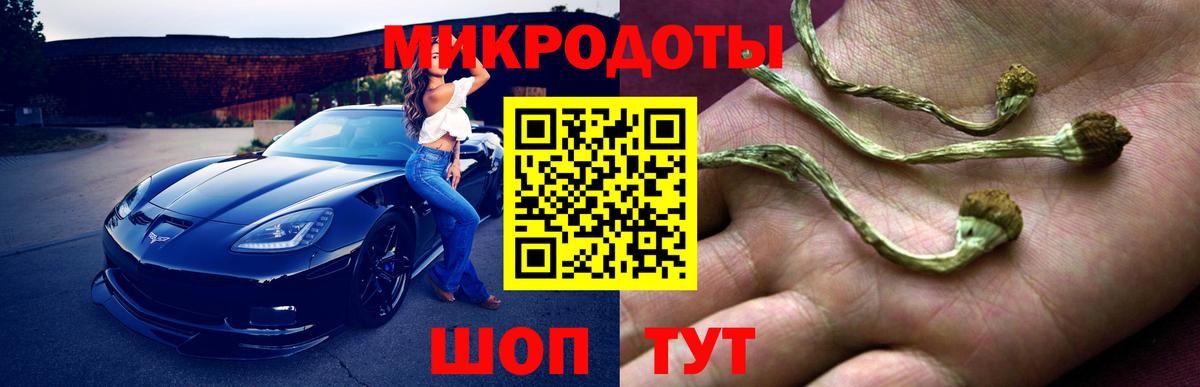 Галлюциногенные грибы GOLDEN TEACHER Курчатов