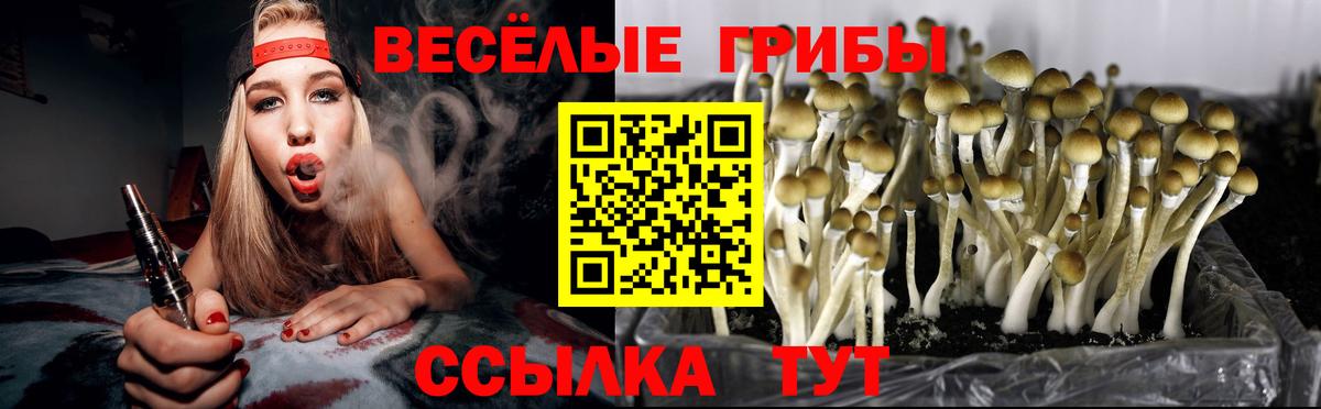 Галлюциногенные грибы MAGIC MUSHROOMS  Псилоцибиновые грибы прущие грибы  Курчатов  Вход с VPN 
